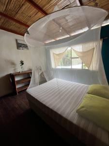 Casa Kresala, Surf House