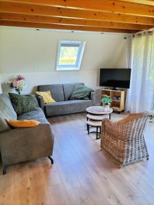 Torenvalk I Genieten nabij Bos