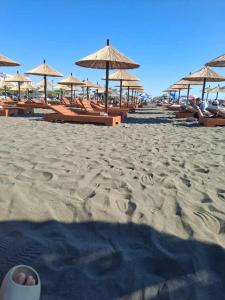Green 2-bedroom apartment beach