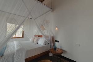 Foot On Africa Safari Lodge