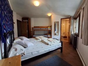 Mitja Pensió Hostal Pastuira Vallter 7