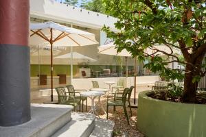 Kin Wander Trung Sơn