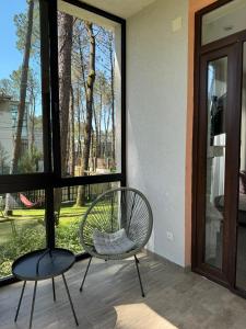 Shekvetili Small Wonder