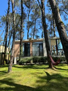 Shekvetili Small Wonder