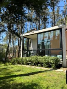 Shekvetili Small Wonder