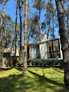 Shekvetili Small Wonder