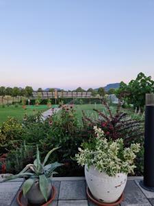 Tameli Delux Apartman