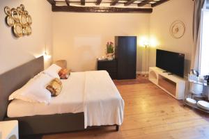 Biscione Dream Campo deFiori