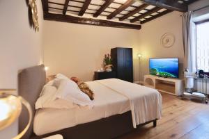 Biscione Dream Campo deFiori