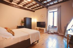 Biscione Dream Campo deFiori