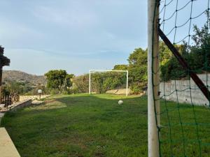 Una Foresta sul Mare img49