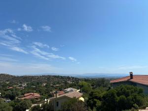 Una Foresta sul Mare img46