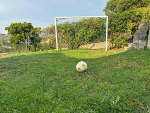 Una Foresta sul Mare img60