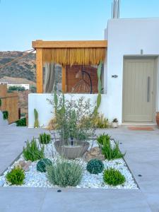 Apademia Skyros Luxury Residences