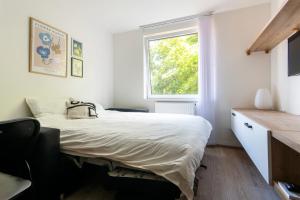 Cozy studio in centre of prague 10 Vrsovice