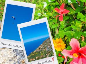 Casa da Achada in Arco da Calheta
