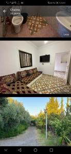 Ferme avec piscine à Marrakech