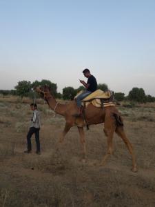 Osian Camel safari and Village home stay