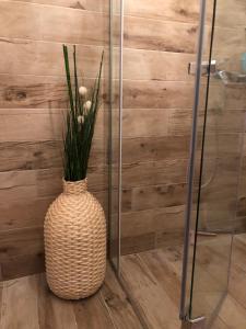 Vračar Elegance Apartment