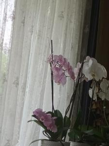 Pokój gościnny w willi