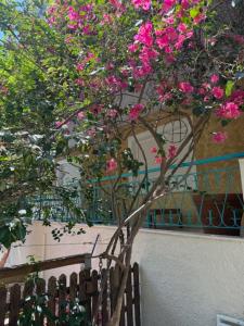 Avra Deluxe Apartment