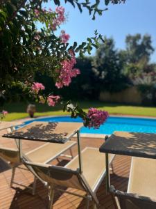 Green paradise with Etna view