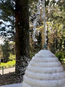 Relax in Casa di Silvio