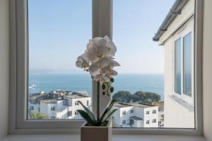 Duchy Lemain Garden Apts