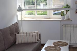 Apartament Sudecki Spokój