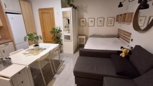 Charming Studio in La Latina