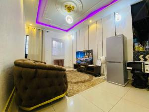 Stylish Apt Designer Kitchen