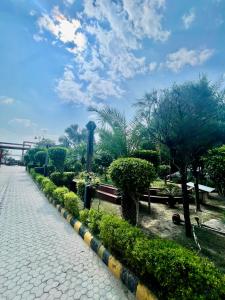 ViHomes - Studio Flat