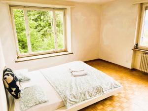 City Center Flats with Balcony Garden View Rigi Self Checkin