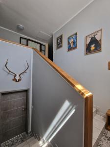 Trzy Żywioły - Bieszczady