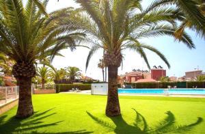 Apartamento Paradise La Mata