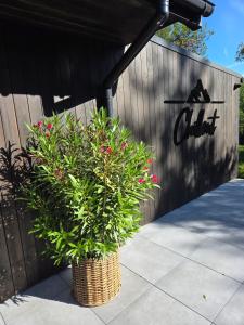 Chillout Kocoń nowoczesny dom w górach