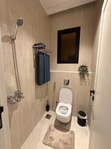 استديو النهضة