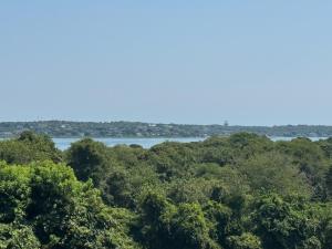 Harbor View - Newly Renovated