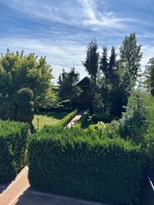 Verde Land - Drewniany domek na wsi