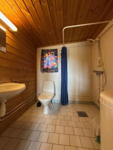 Bjorliheimen Fjellhotell-Hytte 10 & 17