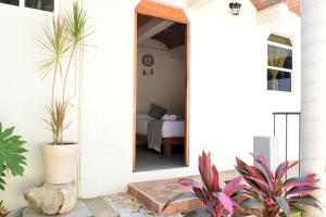 Casa Macuil Punta Zicatela