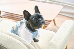 EIGHT VILLAGE - Vacation STAY 40436v