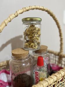 Casa no Vale dos Vinhedos