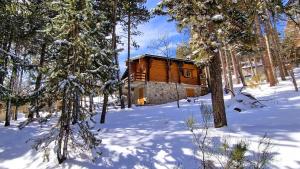 Chalet la Lezardiere