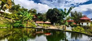 Cabaña Campestre Rancho Alegre
