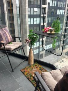 Adamant Toreo Tijuana