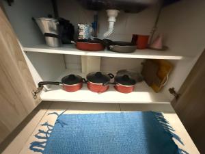 Luxor Paulo Miranda by Allmare Temporada