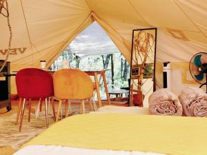 Japi Japi Glamping Premium
