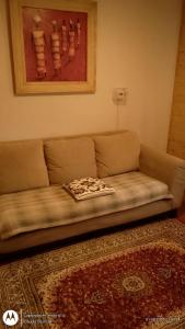 Departamento Parque del Valle