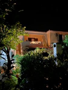 Gekos house